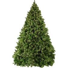 Sequoia Commercial Christmas Tree Christmas Lights Etc Pre Lit Christmas Tree Christmas Tree Guide Prelit Tree