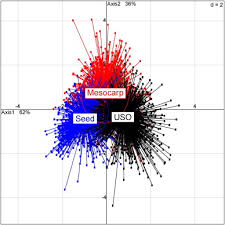 Image result for Eminia antennulifera