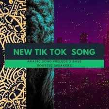 New Tik Tok Famous Slow Motion Arabic Music By Bass Boosted Speakers