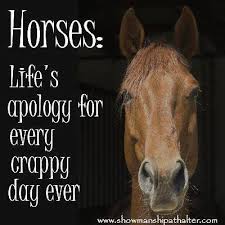 Horses Except For When They Tear Through The Fence Lol Funny Horses Horse Quotes Horse Riding Quotes