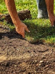Since most struggling lawns need soil improvement before you add sod, you'll end up digging up and removing most of the remaining grass anyway and might as well clear away all of it for. New Sod Care How To Properly Care For Your New Sod Ng Turf