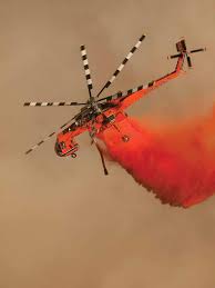 Image result for Medium Brown 2013 Fleet