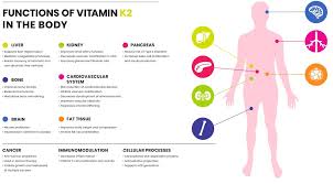 Vitamin K1 And Vitamin K2 Importance To Health Feb 2019