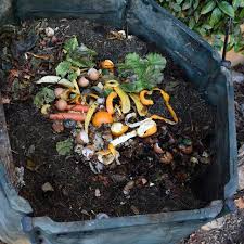 Maybe you would like to learn more about one of these? Cara Mudah Membuat Pupuk Kompos Sendiri Dari Sampah Organik Rumah Tangga Citizen6 Liputan6 Com