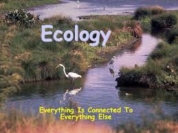 Ecology Everything Is Connected To Everything Else Ppt Download