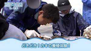 中学生がカキの種付け作業を体験 日本財団 海と日本PROJECT in 岩手 2018 #04 - YouTube