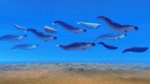 An ocean is a large body of salt water. Can You Name All Of These Sea Animals Howstuffworks