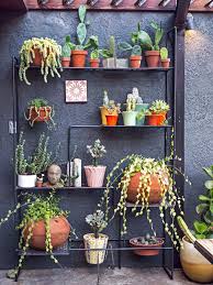 The Succulent Presentation Station Eclectic Home Garden Shelves Plant Design