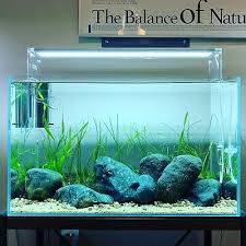 Now that you already determined the ideal location and dimensions of your tank, it is time to think about your planted aquarium style. Ada Aqua Design Amano Hakkai Stone River Stone Rock Iwagumi Rare Aquarium Ebay