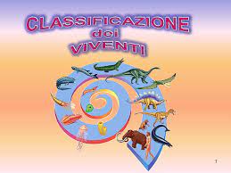 Nacque il 23 maggio 1707 in svezia. Classificazione Dei Viventi Ppt Scaricare