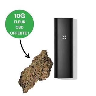 PAX Plus: Portable vaporizer - Marie Jeanne CBD ®