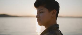 Johnson RV — IF.Company