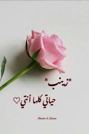 zainab bashar place card holders islamic girl cat window