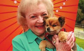 17 dogs found new homes in 2 days