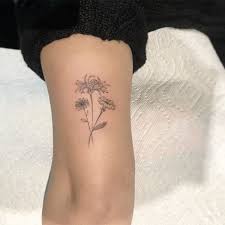 Tattooer Ok Op Instagram Aster Chrysanthemum Morning Glory Tattoobyok Tattoo Tattoos T Chrysanthemum Tattoo Tattoos Aster Flower Tattoos
