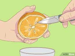 It takes about 12 days for a seed to sprout. How To Germinate Orange Seeds 11 Steps With Pictures Wikihow
