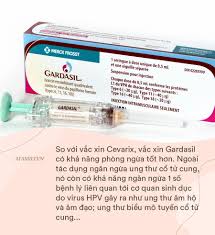 Internet) vacxin hpv thường không gây ra bất kỳ phản ứng phụ nghiêm trọng nào. Bá»' Máº¹ Co Con Gai Tá»« 9 Tuá»•i Trá»Ÿ Len Nhá»› Ä'Æ°a Tráº» Ä'i Tiem Váº¯c Xin Phong Ngá»«a Ung ThÆ° Cá»• Tá»­ Cung