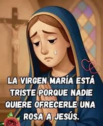 Alina Manzano's Instagram, Twitter & Facebook