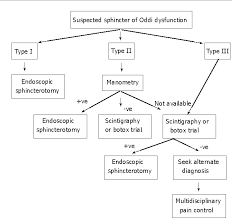 The sphincter of oddi (also hepatopancreatic sphincter or glisson's sphincter), abbreviated as so,1 is a muscular valve that in some animals, including humans, controls the flow of digestive. Pdf Sphincter Of Oddi Dysfunction Managing The Patient With Chronic Biliary Pain Semantic Scholar