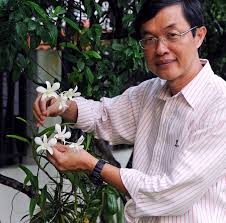 The technique for producing the flowers is top secret according to interflora. The Essential Guide To Growing Orchids In The Tropics Dr Chia Tet Fatt Is The Creator Of The World S First Glow In The Dark Orchid Or Bioluminescent Orchid To Use The Correct Scientific Terminology