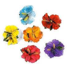 X 3 width x 2.5 high. Hula Girl Hibiscus Color Assorted Flower Lei Island Hair Clips Party Favors 12 Pack By Super Z Outlet Walmart Com Walmart Com
