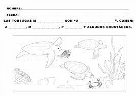 Los dibujos para colorear de tortugas marinas, simpã¡ticos habitantes del mar, pueden ser un referente a la hora de enseã±ar a los mã¡s pequeã±os todos los secretos del mar. Pin En Tortugas