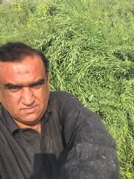 Mashallah….. Mustard is going nicely .. Me and Saad Gul visited mustard  field ….