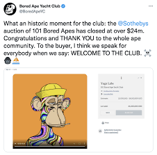 Bored Ape Yacht Club Know Your Meme