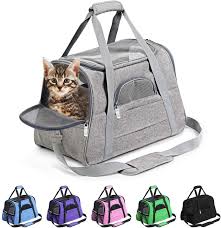 It is one of the largest constructed car top carriers available on the open market and its aerodynamic design ensures that you use less gas while hauling this carrier. Amazon Com Prodigen Pet Carrier Airline Approved Pet Carrier Dog Carriers For Small Dogs Cat Carriers For Medium Cats Small Cats Small Pet Carrier Small Dog Carrier Airline Approved Cat Pet Travel