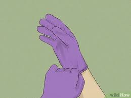 The vinegar works to neutralize the feces. How To Clean Up Dog Diarrhea 10 Steps With Pictures Wikihow