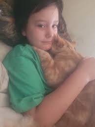 Found injured orange cat near south barker and edgewood