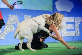 Dog mounts woman