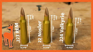 224 Valkyrie Vs 22 Nosler Vs 223 Remington Wild Speculations