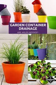 So i decided to try my hand please click the link in the email i just sent you—i just need to confirm it's really you to prevent spam. Do You Need Holes In Your Plant Pots Gardening Channel
