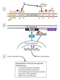 Image result for Baricitinib