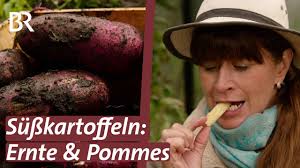 TV-Tipp: Der Garten von Barbara Krasemann heute, 01.07. um 21 Uhr, bei  "Bayern erleben" im BR Fernsehen: