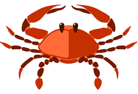 Cancer health in 2021 as far as health goes, that of cancerians will be very good in 2021. Cancer Lucky Numbers Cancer Luck Cancer Lucky Number Predictions
