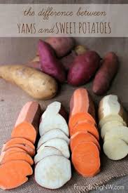 Yams Vs Sweet Potatoes What S The Difference Food Sweet Potato Recipes
