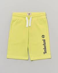 I veicoli moderni utilizzano una cinghia a serpentina per far funzionare aria condizionata,. E2p7zbanuxpeom