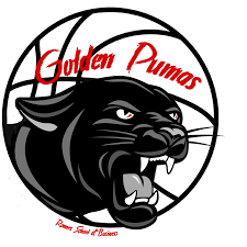 Rugby · south africa currie cup. Golden Pumas Rennes School Of Business Home Facebook