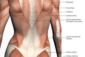 Check spelling or type a new query. Yael Saldana Mcminion2005 Perfil Pinterest