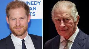 King Charles friend gave Prince Harry 'wink' over underground drugs room