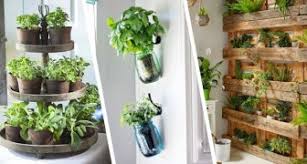 Empfindliche kräuter müssen sie im haus überwintern oder im beet vor frostschäden schützen, damit sie den winter ähnlich problemlos überstehen wie die frostharten arten. Aromatische Krauter Im Haus Einige Ideen Um Die Kuche Zu Dekorieren Und Sie Immer Zur Hand Zu Haben Creativodeutschland De