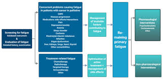 One in seven men in the united states will receive a prostate cancer diagnosis during his lifetime. Cancers Free Full Text Fatigue In Cancer Patients In Palliative Care A Review On Pharmacological Interventions Html