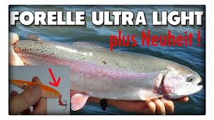Am besten suchst du die unterwasserkante an der es schlagartig vom flachen ins tiefe geht. Ultra Leichtes Spinnfischen Auf Regenbogenforellen Im Sommer Youtube