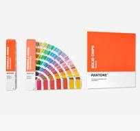 PANTONE® USA | What 224 New Pantone Colors Mean for You