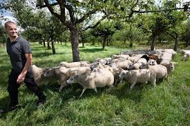 images?q=tbn:ANd9GcRNIwV7ukNAujxjD9DAS6Vv5oT_lhP7hV74fQ&s