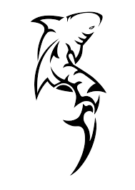 Maori Shark T Shirt Pro Dive Cairns Store Tribal Shark Tattoos Shark Tattoos Tribal Shark