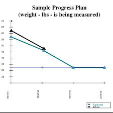Sample Progress Plan In The Gantt Chart Used As Our Example