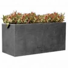 Maybe you would like to learn more about one of these? Mon Bac A Plantes Code Reduction Et Bons Plans Par Leguide Com Publicite